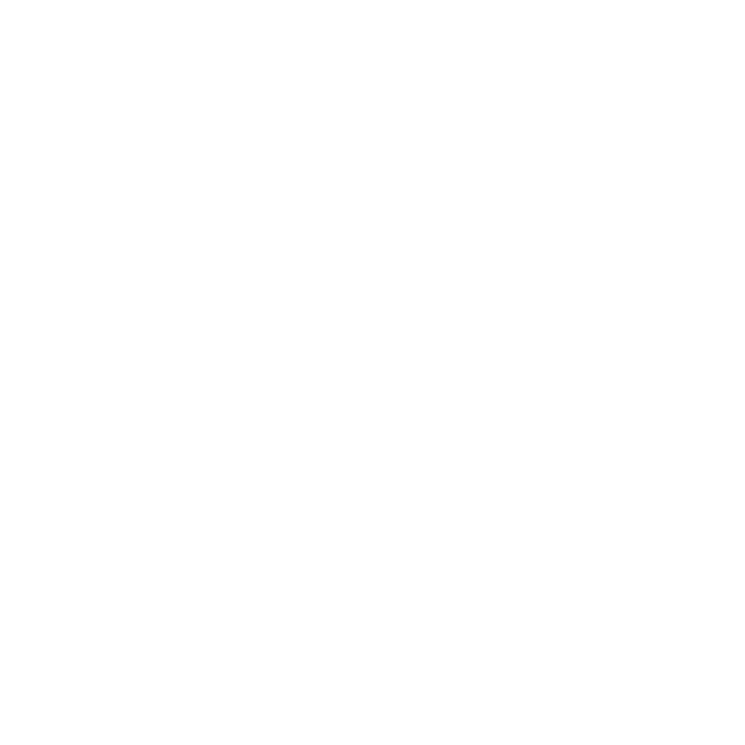 ERT CONSULTING